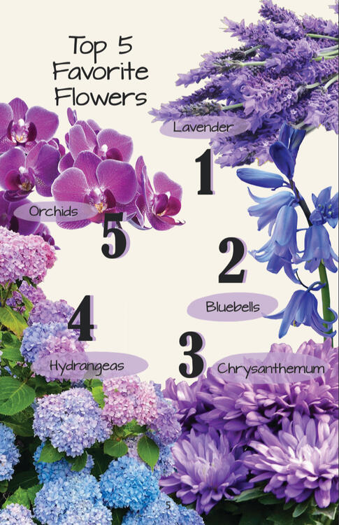 Flowers